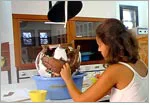 The W.D.E. Coulson Conservation Laboratory